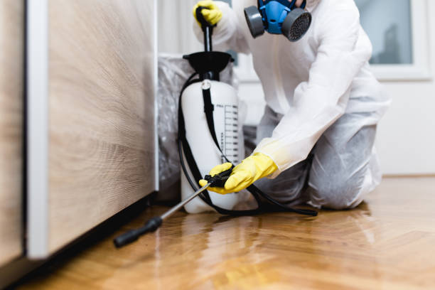 Best Pest Control for Homes  in Ontario, CA