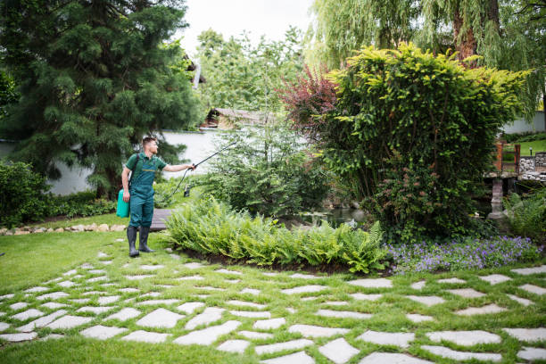 Best Pest Removal Services  in Ontario, CA