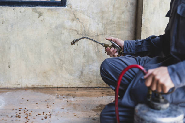 Trusted Ontario, CA Pest Control Experts